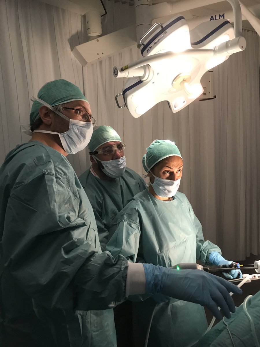 frank_dor's tweet photo. Real #hands on live donor nephrectomy during #LIDO2017 course @ESOTtransplant @ErasmusMC https://t.co/qCGmNeTep3