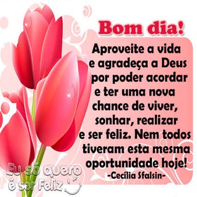 Adriana Araújo (@adrirujosants) on Twitter photo 