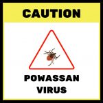 LYME SCI: Tick-borne #Powassanvirus can be deadly dlvr.it/PQy9C5 #lymedisease