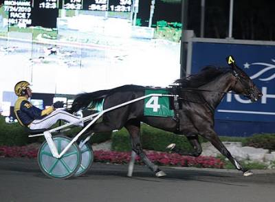 ScugogMuseum's tweet photo. 2015 San Pail retires and is inducted into the Canadian Horse Racing Hall of Fame the following year #Scugog150 https://t.co/s0IPBKbrl4