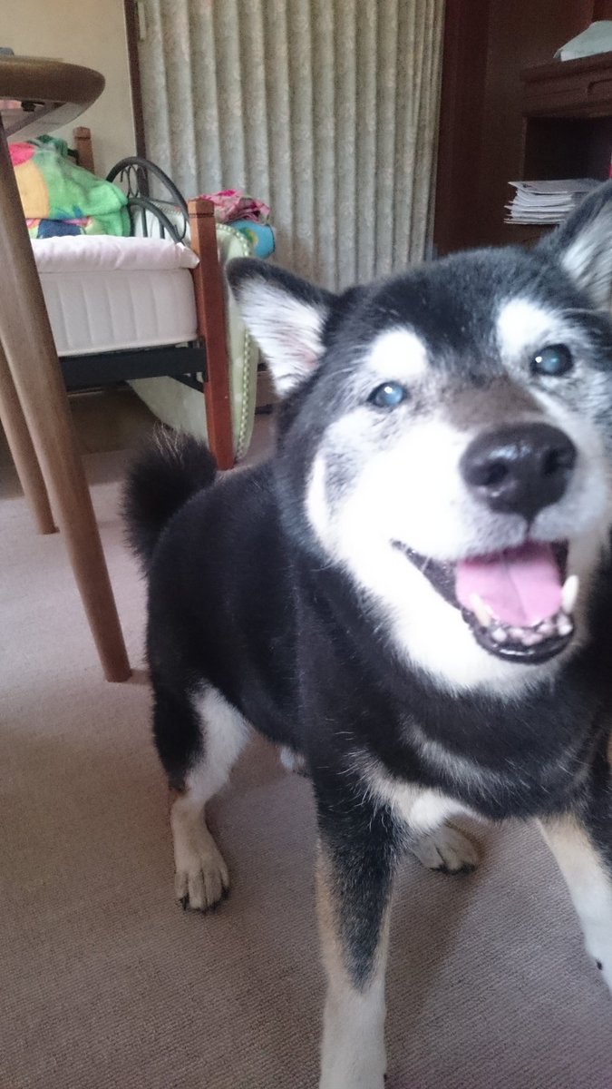 哲まどママ tweet media