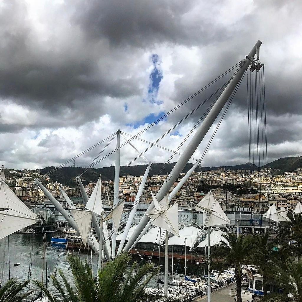 EneriEmrap's tweet image. Le palme, il mare, la #shippingweek... #genova #sangiorgio #genovamorethanthis #igersgenova ift.tt/2t4JZwI
