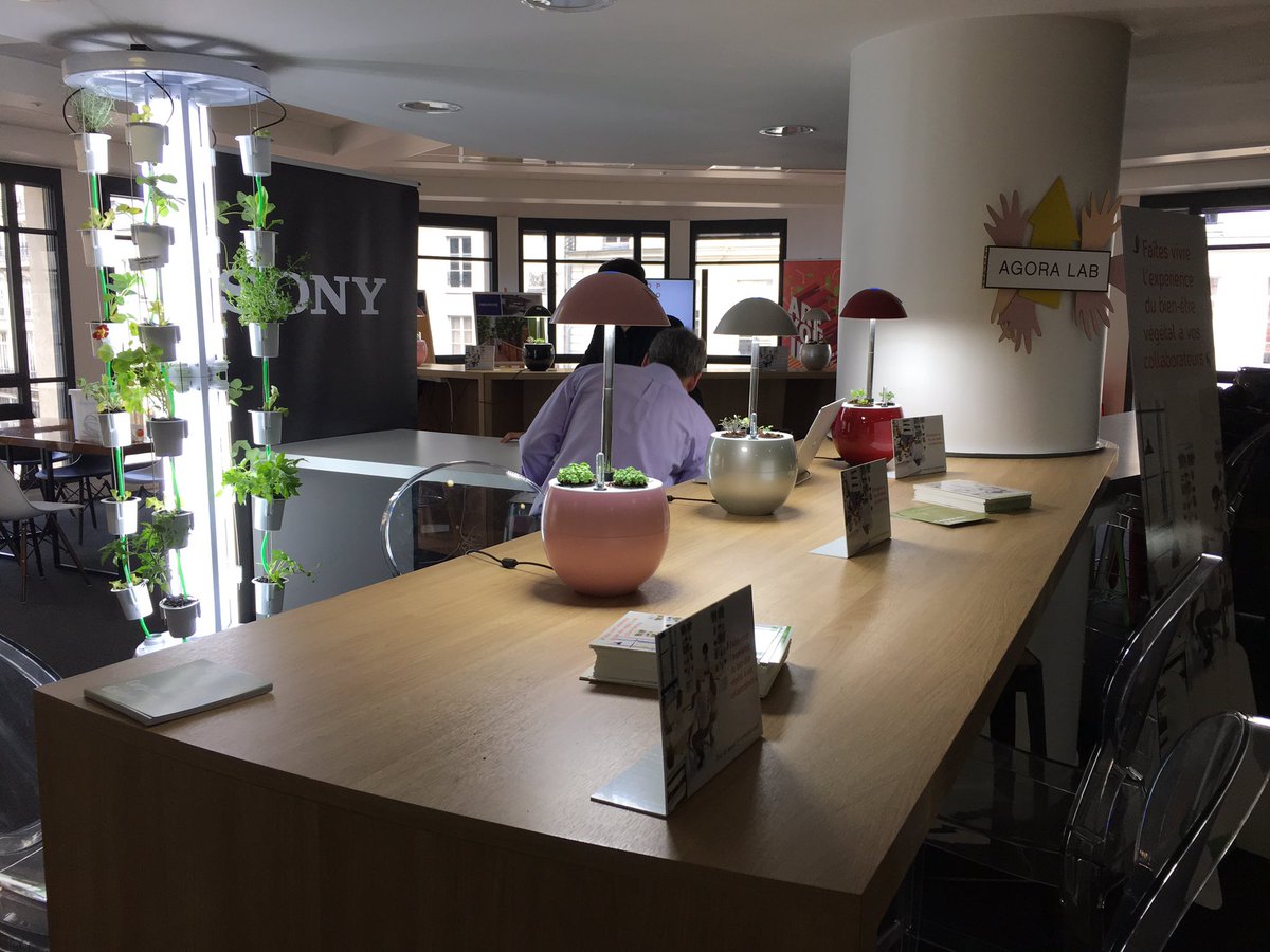 GotoKgardening's tweet photo. Voilà comment s'exprime le bien etre végétal au travail @RevolutionatW @InVivoGroup https://t.co/Lf5gOZeH2T