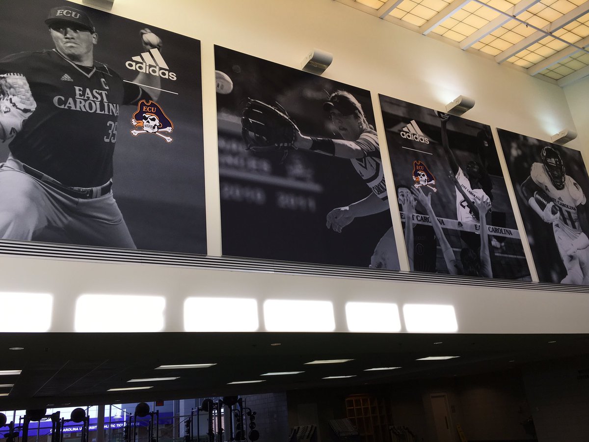 Shelley Swann tweet media