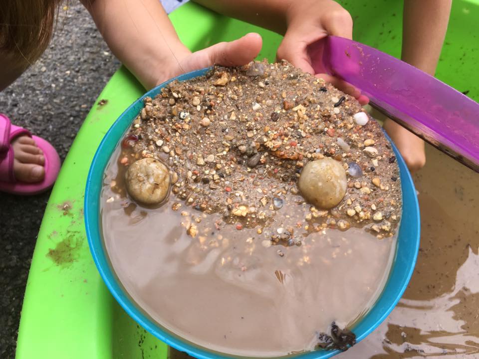 Les Savants Fous tweet media