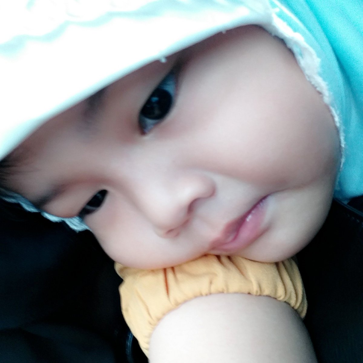 chryu's tweet photo. My everything https://t.co/zj1fntxNPE