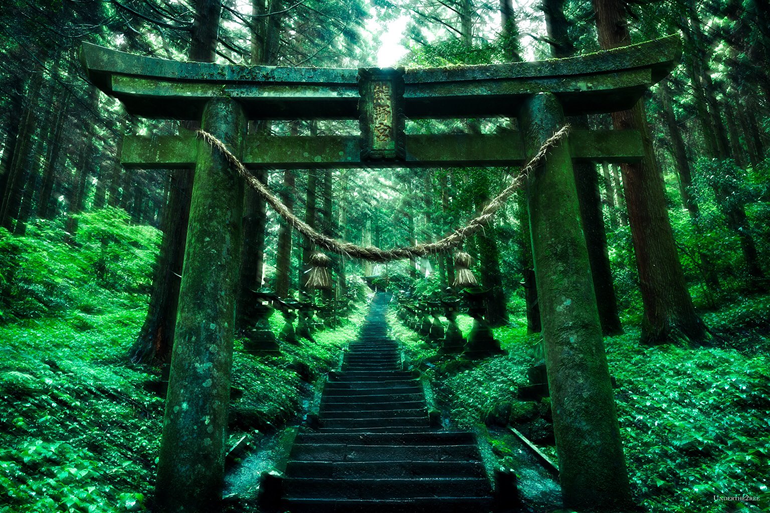 神秘的すぎて本物だと思えない 熊本にある神社がかっこよすぎる 話題の画像プラス