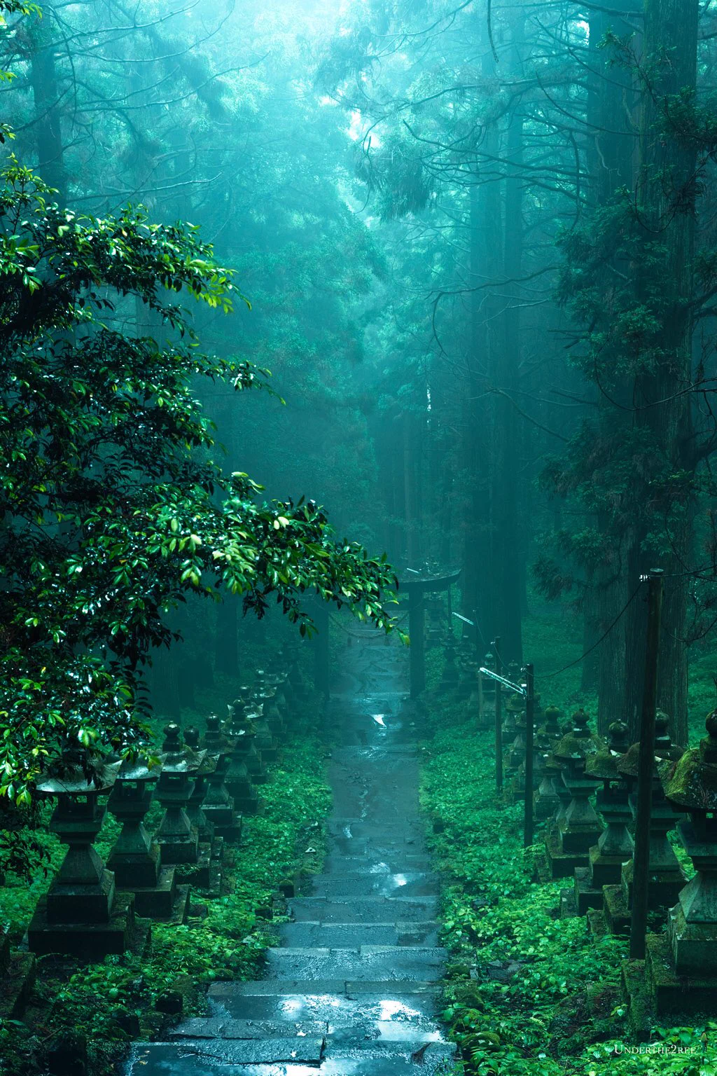 神秘的すぎて本物だと思えない！熊本にある神社がかっこよすぎるww