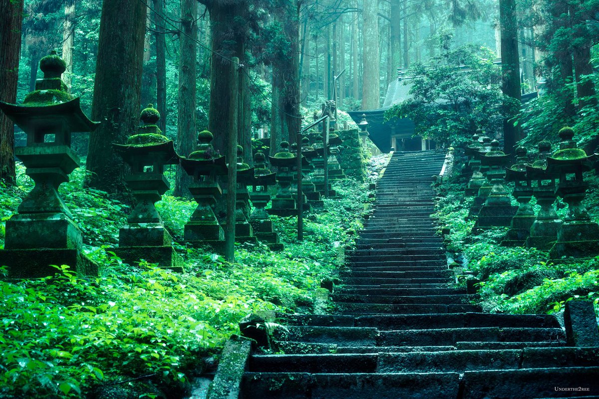 神秘的すぎて本物だと思えない 熊本にある神社がかっこよすぎる 話題の画像プラス