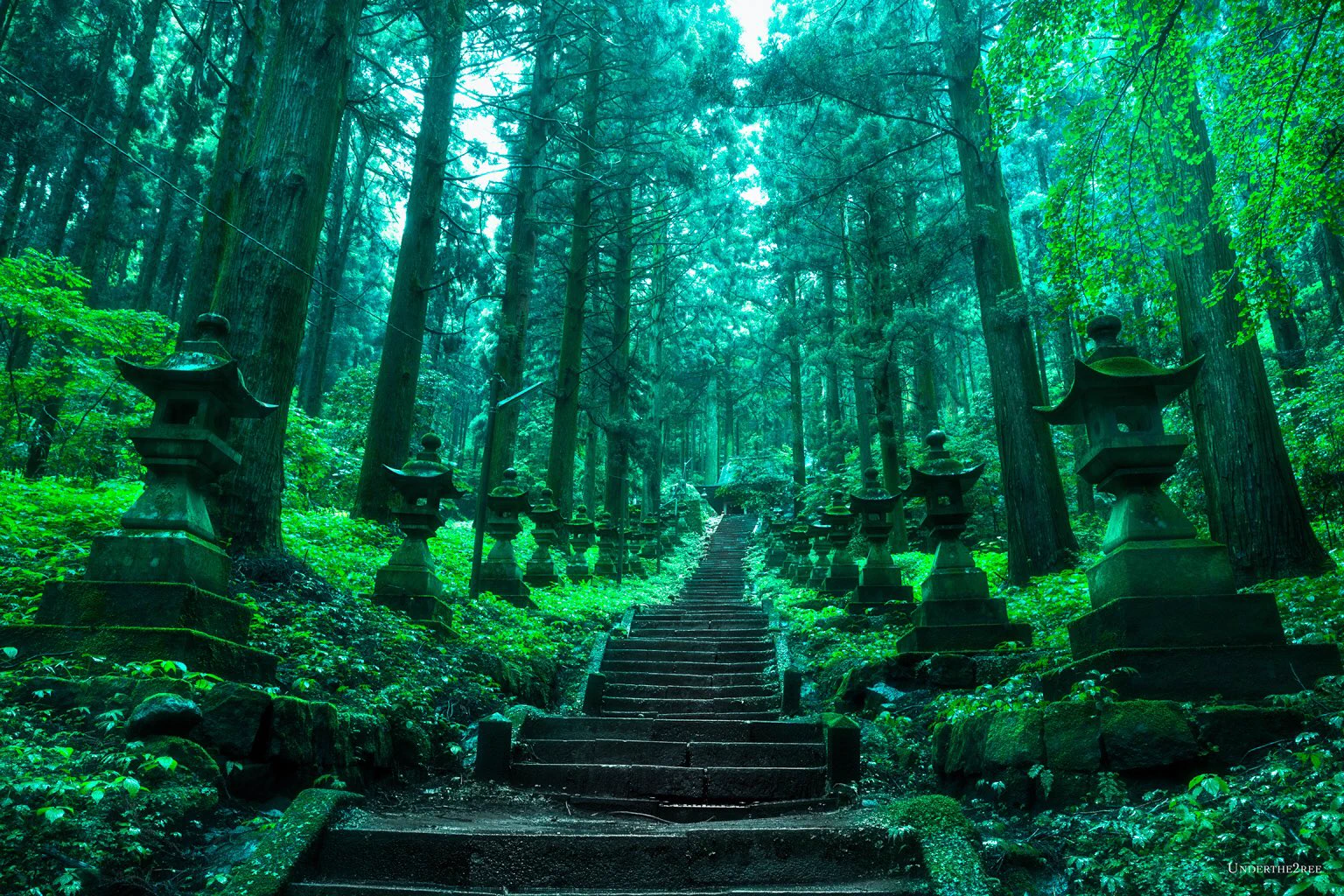 神秘的すぎて本物だと思えない！熊本にある神社がかっこよすぎるww