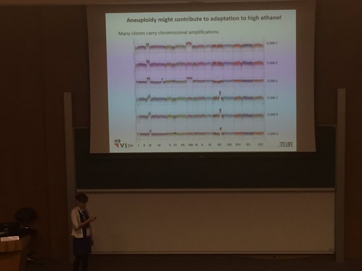 neil_gow's tweet photo. Karin Voordeckers shows that alcohol stressed yeast cells have higher mutation rates due to DNA replication stress. @MicrobioSoc #ISSY33 https://t.co/M8XMKfKVPC
