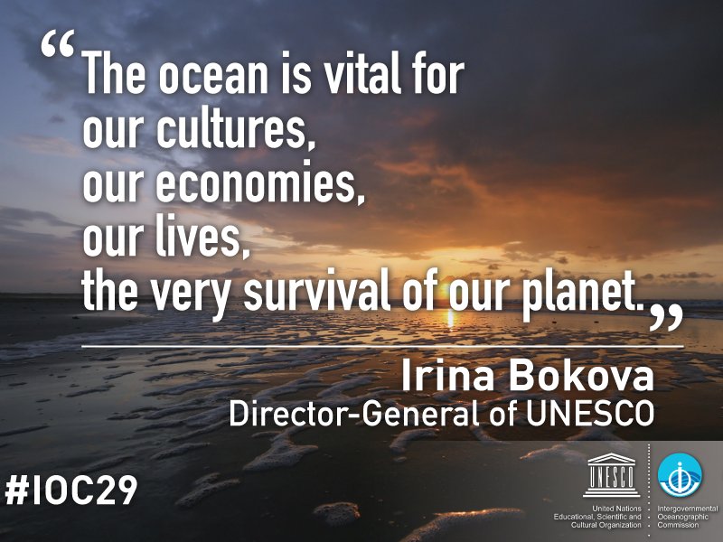 IocUnesco's tweet photo. #IOC29 has approved #OceanScienceDecade (2021-2030), key step toward the ocean we need for the future we want. Now to @UN General Assembly! https://t.co/RA4144WVFo