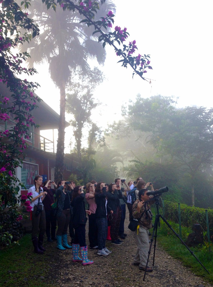 FBMH_UoM's tweet photo. From birdwatching at dawn to jungle treks at night, see what our Biologists have experienced so far in Costa Rica: https://t.co/ic6TifDTux https://t.co/pAGOOIW2qS