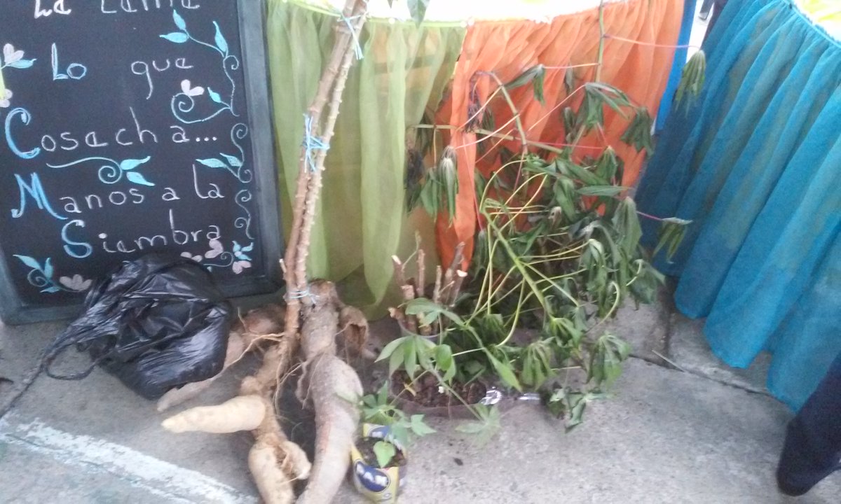 cto 9 presente en el Convite. Conuco. Escolar <a href="/charlychaves/">Charly Rojas Chaves</a> @ZonaEducTachira