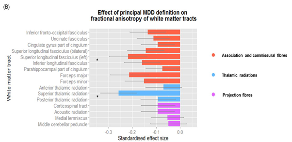 EdinUniLBC's tweet photo. .@heathersibley99 presents Imaging Studies of #Depression &amp; #Resilience: differences in white matter connections in MDD (n=1089) #STRADL https://t.co/wsNJItUnRi