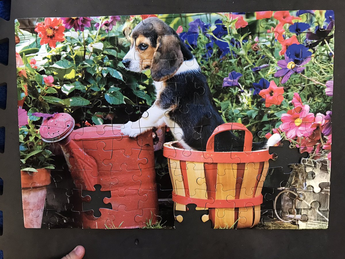 Room_18_KG's tweet photo. Am and Pm Students were so proud to achieve this puzzle ! Good job ! https://t.co/XEkZnYk3Na