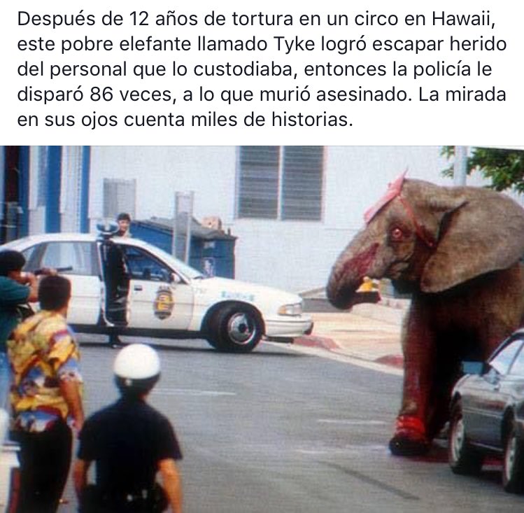 clubdelbajon's tweet photo. Somos la peor especie del mundo https://t.co/B6Z0huvATs