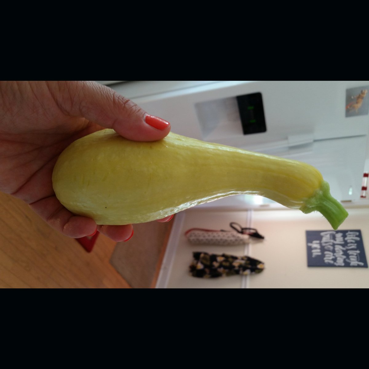 CNelligar's tweet photo. Today's beautiful veggie baby picking! #ishouldhavebeenafarmer https://t.co/IgAeWRKQEQ
