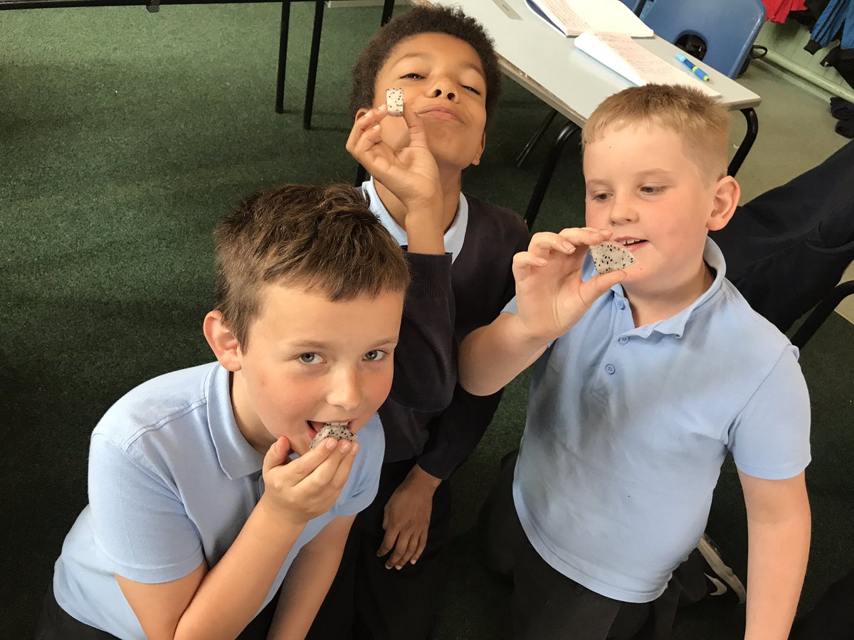 RCulley_LPS's tweet photo. Trying fruits we've never tasted before #starfruit #rambutan #dragonfruit @LansdownePS 🍈🍊 https://t.co/D5AVFLq2rB