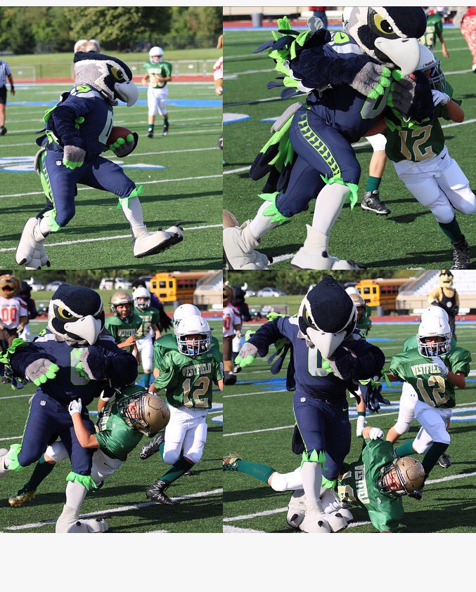 BlitzTheSeahawk's tweet photo. A little TBT to last years mascots vs pee wee football game! The rematch happens tonight! #alwayscompete #Birdmode #throwmetheballplease https://t.co/H8iZOspRlD