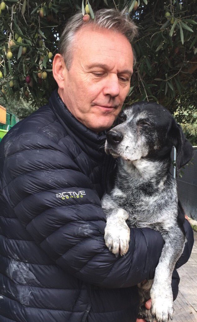 #DominionThursday <a href="/dogmagayle/">gayle frank🇨🇦</a> <a href="/mo_goodwin/">Melinda Goodwin (Mo)</a> <a href="/RobbyivyIvy/">Robby Ivy</a>  <a href="/Dominion_Fans/">DominionFans.com</a> <a href="/DominionFandom/">DominionFandom</a> @EV_Fencer93 #SaveDominion