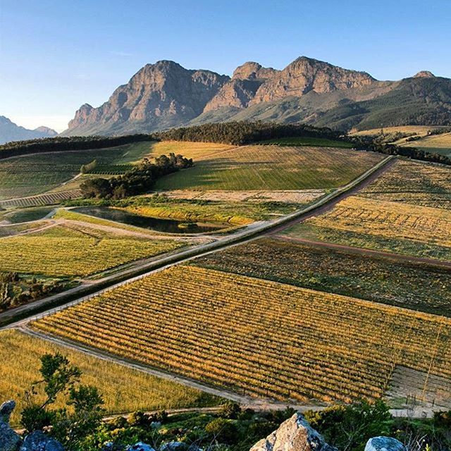 #winecounrty #sbollandoteam
 #vineyard #vineyards  #winewednesday  #SouthAfrican #wines #wine #wein #vin #vinho #vino #travel #wine🍷