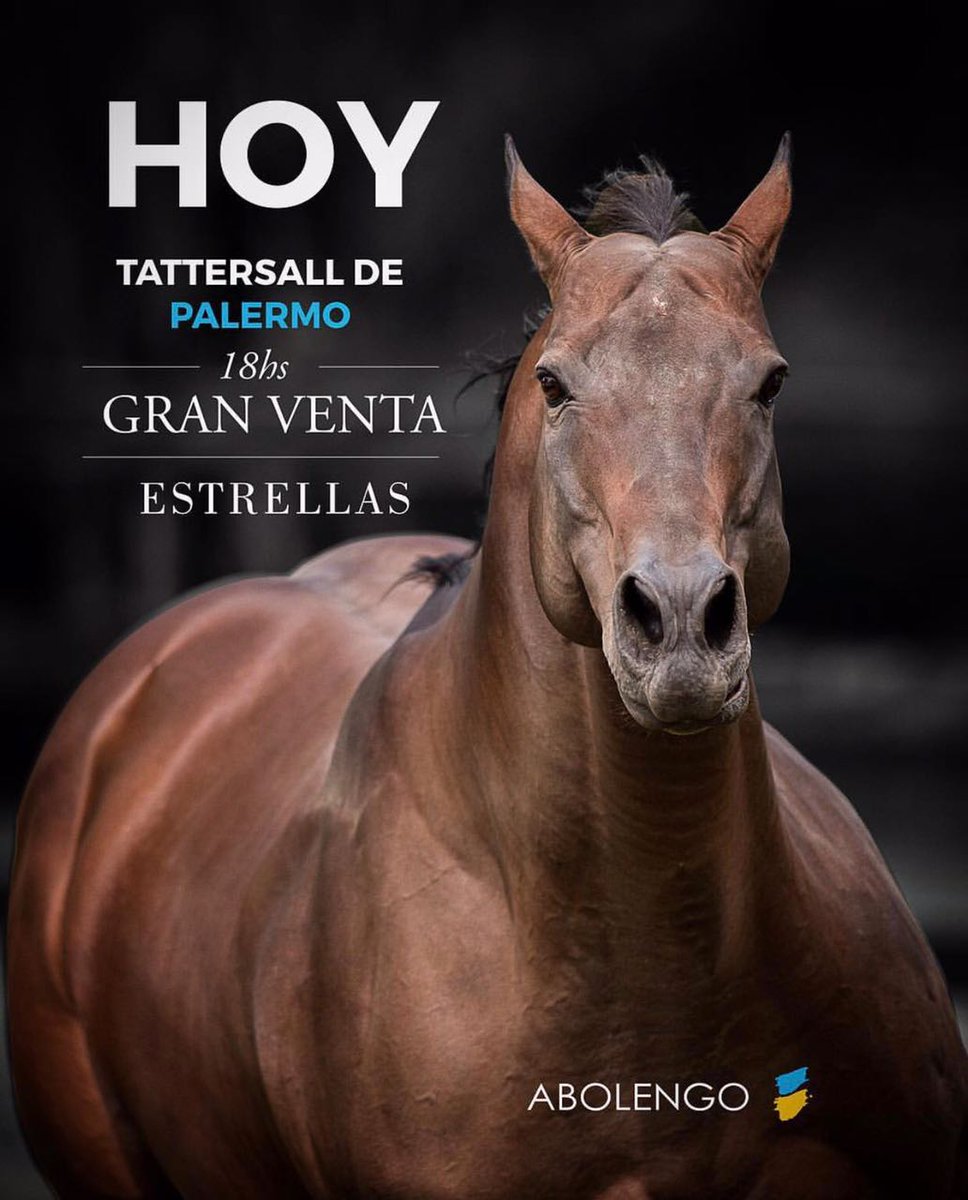 Remate Venta Estrellas Haras Abolengo 29/06/17 DDft0UPXgAEW84y