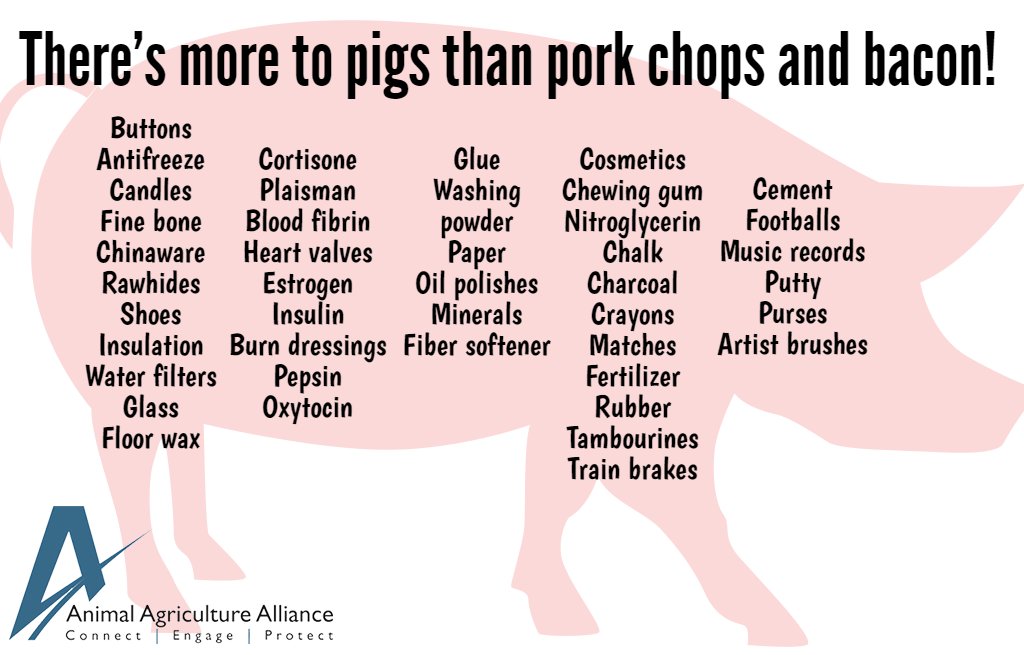 TexasPork's tweet photo. #DYK candles &amp; glue are just a couple of swine by-products?! https://t.co/hDw1UkxICw