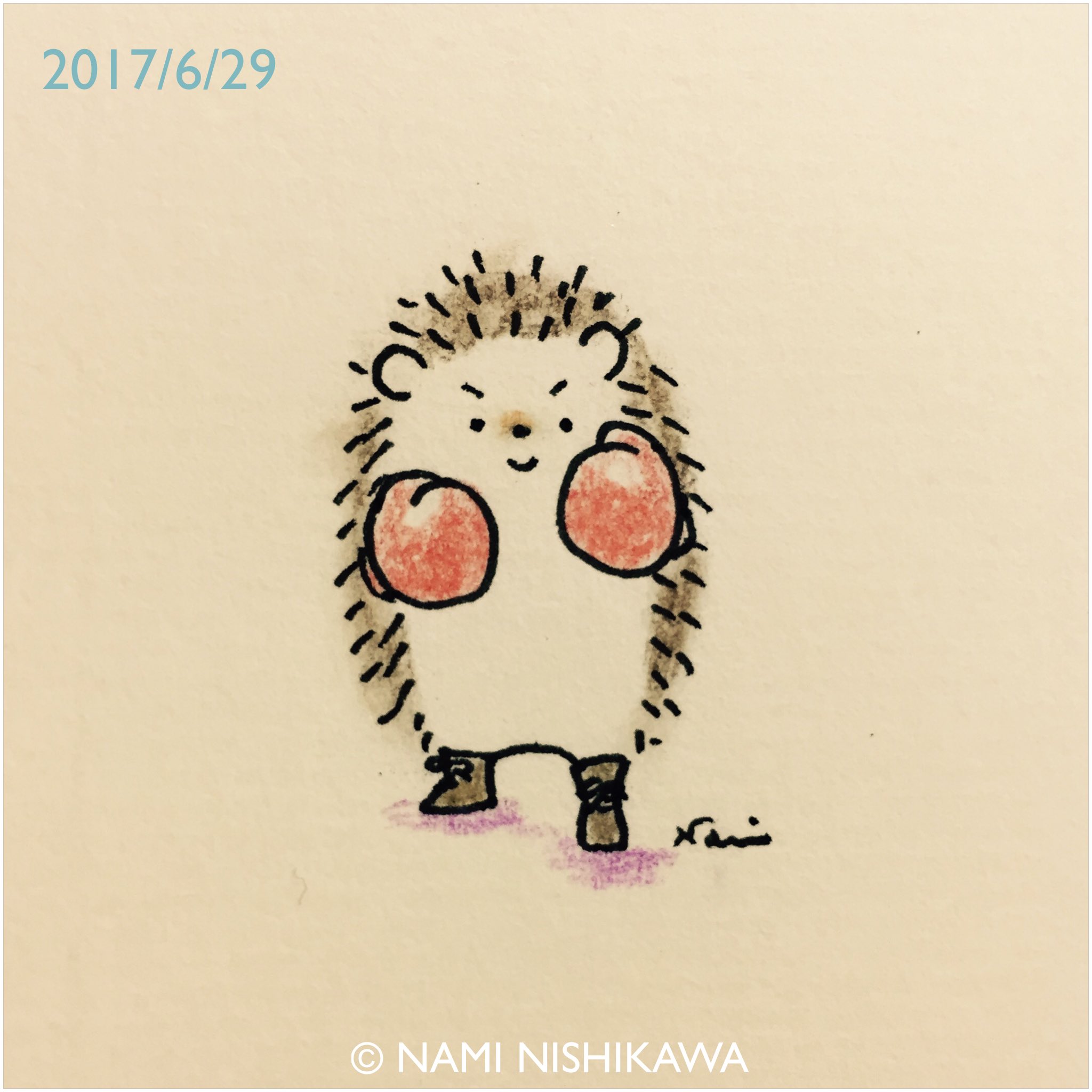 にしかわなみ なみはりねずみ 1222 ボクシング Boxing Illustration Hedgehog イラスト ハリネズミ なみはりねずみ
