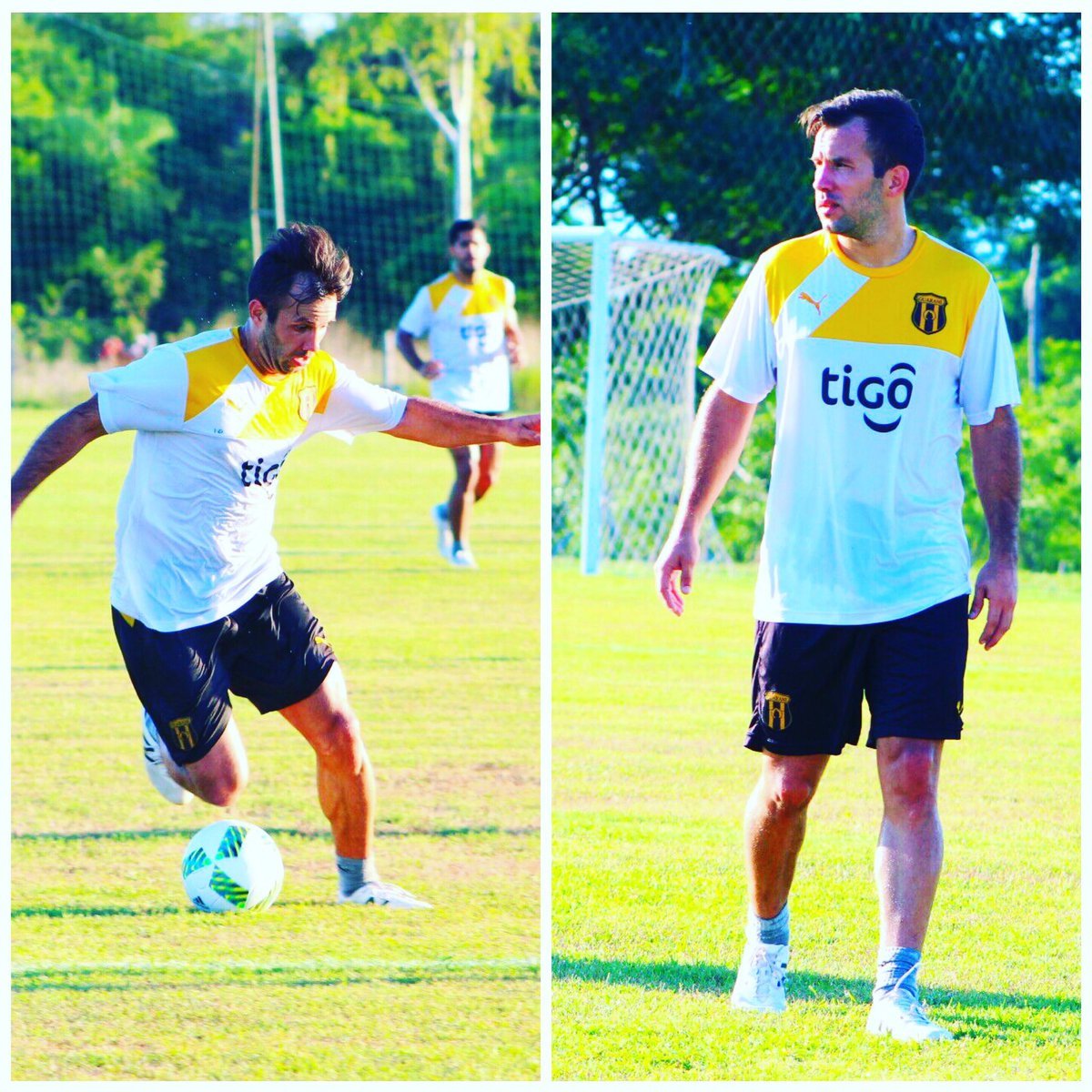 ClubGuarani1903's tweet photo. Uno de los grandes deja el Club. Un campeón Aurinegro! Mucha suerte @ivangonzalezf10 gracias por tanto! #Guarani #IGF10 https://t.co/woekDw8FOQ