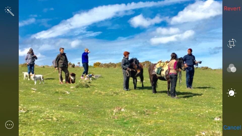 VisitDartmoor tweet picture