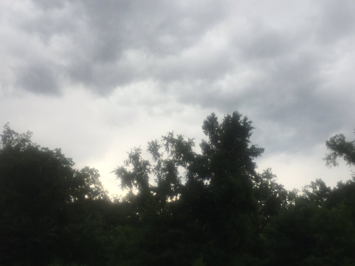 PGFKC's tweet photo. A rainy summer day calls for @TheDecemberists tunes.  #hazardsoflove https://t.co/8dEp5w0pIm