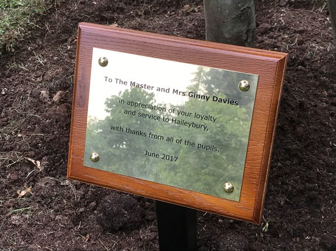 HaileyburyUK's tweet photo. A poignant tree planting ceremony so the pupils could say thank you to our Master Mr Davies, who is retiring, followed by cake! #Hplus17 https://t.co/87lMQM5MwR