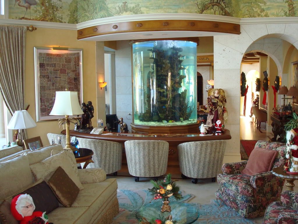 BettaBuddy's tweet photo. #aquarium #ideas https://t.co/zoNsvsZprh