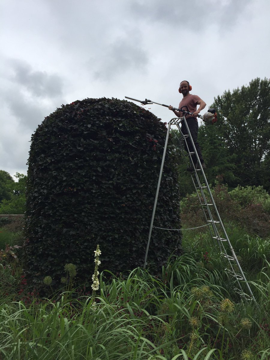 Working_Garden's tweet photo. A busy &amp; somewhat tiring afternoon tightening up the extra large topiary! #ShortBack&amp;Sides https://t.co/7c0Bh1cNJX