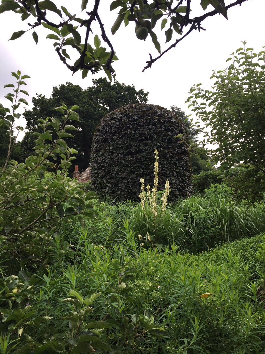 Working_Garden's tweet photo. A busy &amp; somewhat tiring afternoon tightening up the extra large topiary! #ShortBack&amp;Sides https://t.co/7c0Bh1cNJX