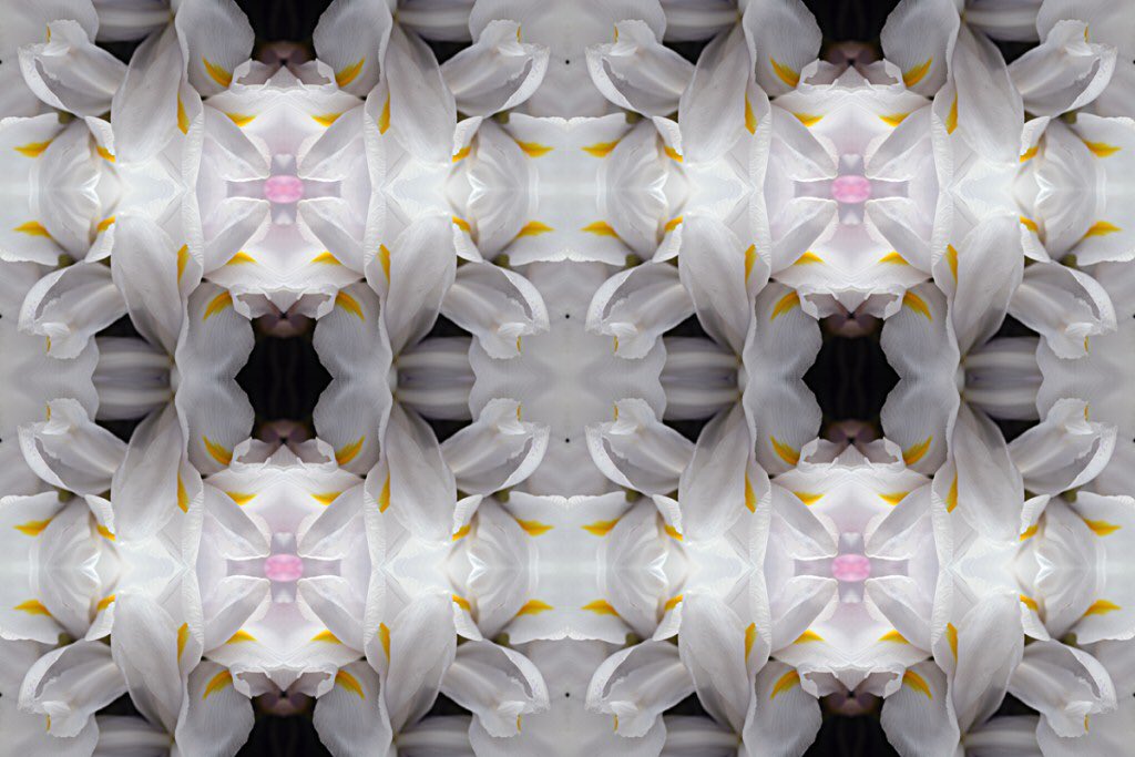 Get lost in Florality, a photomontage series #jamesstanfordart #florality #photomontage