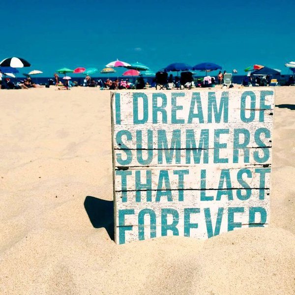 Surfside Realty tweet media