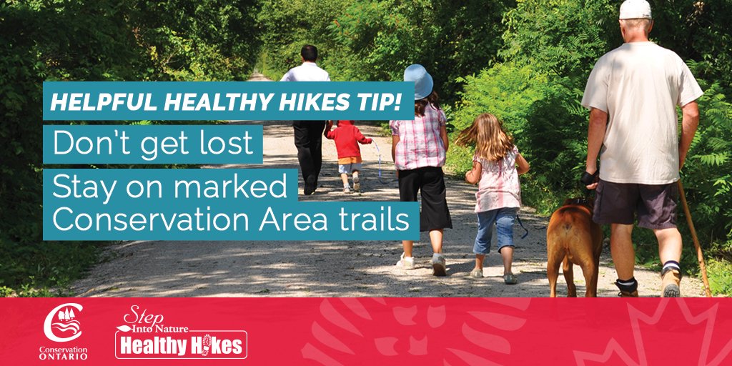Staying on marked trails keeps you on track and protects habitats and species from being accidentally trampled #HealthyHikes #StepIntoNature