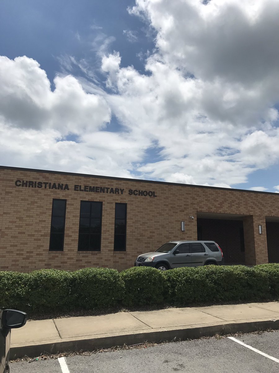 Morgan Shelly tweet media