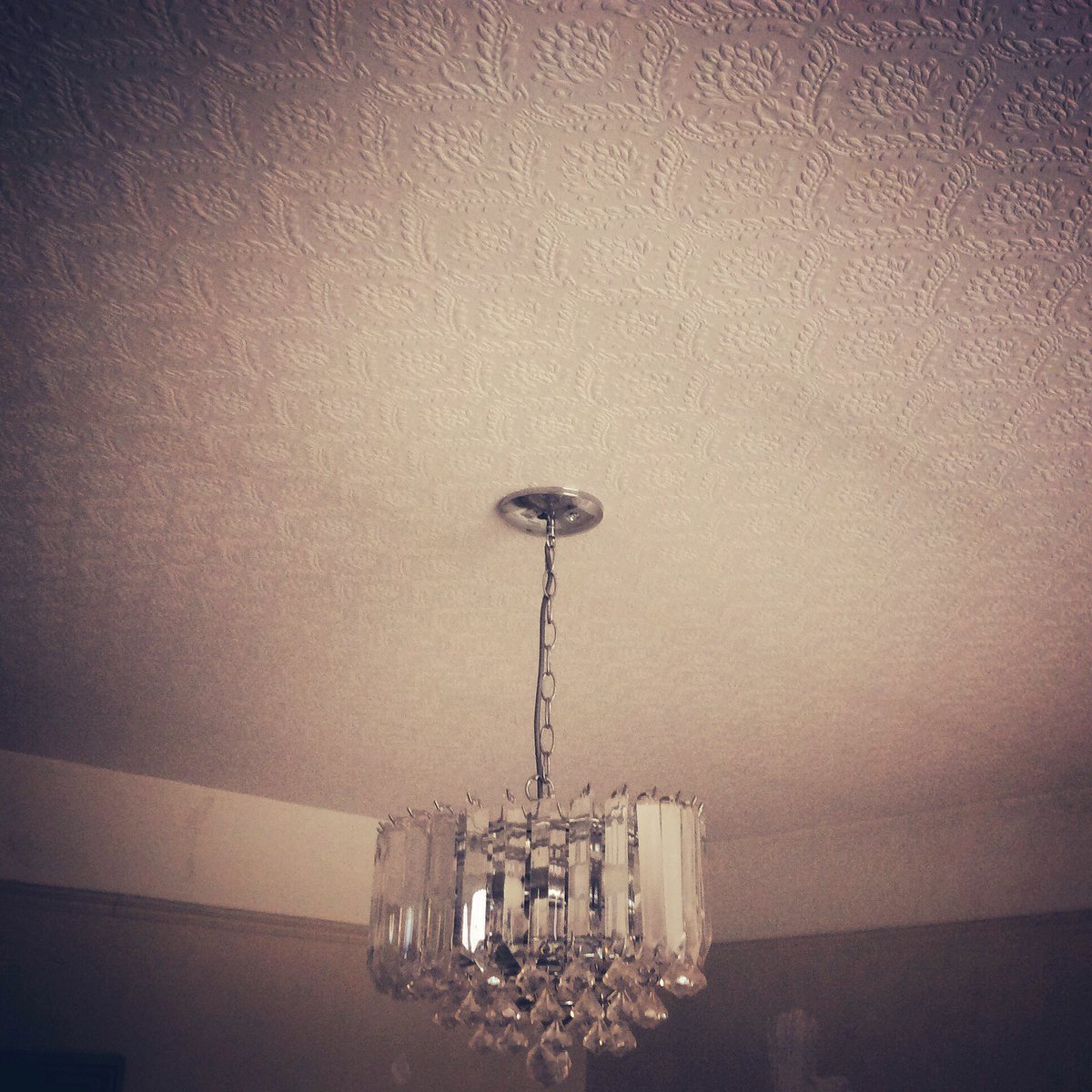 Mr Bristles Uk On Twitter Oh What A Feeling When You Re