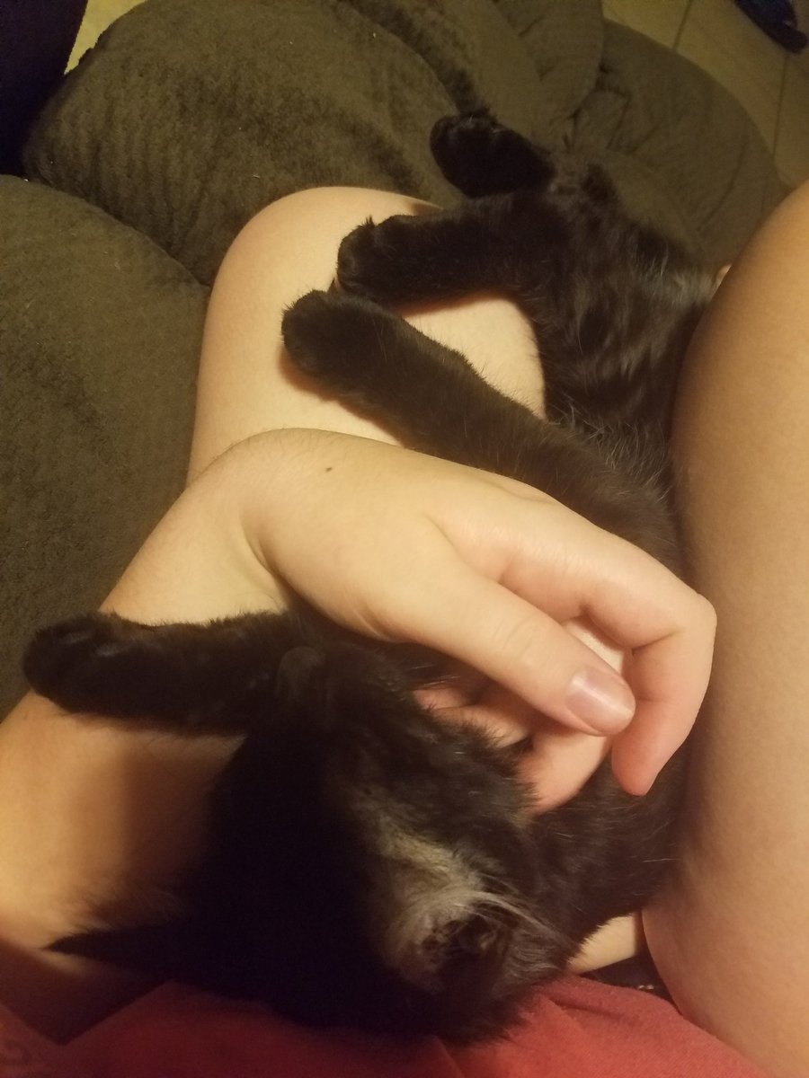 3Rreon's tweet image. 