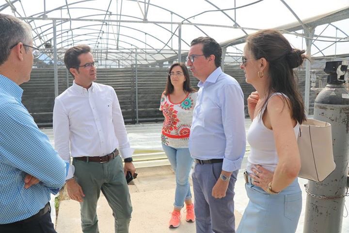 Paco Góngora tweet media