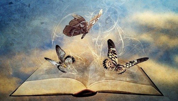 В последнее время меня преследуют мотыльки.
Книги и мотыльки...
