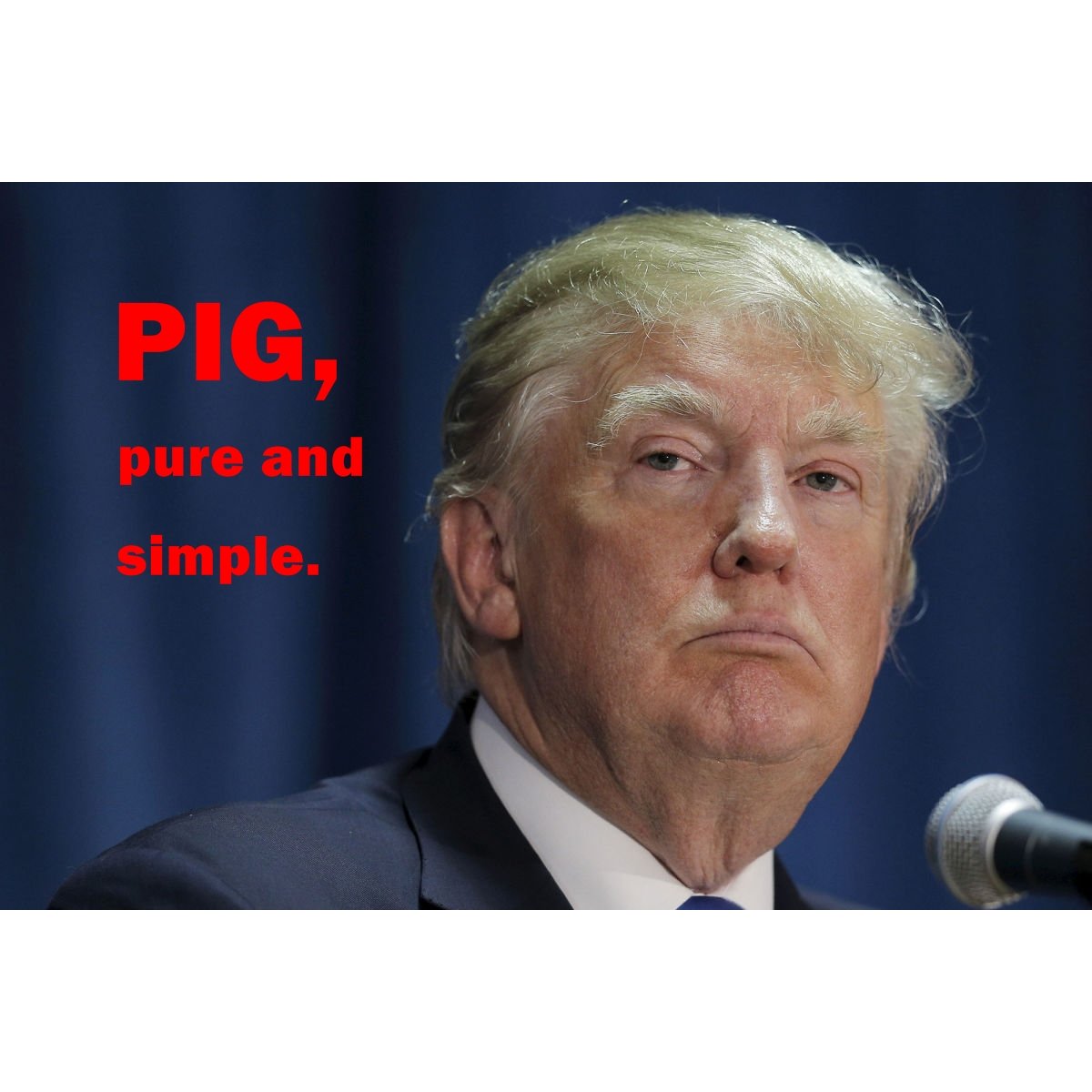 It's Hittin' The Fan (@ntmyoompaloompa) on Twitter photo Here's <a href="/realDonaldTrump/">Donald J. Trump</a>, the asshole about whom even the other assholes say, "What an asshole!" Here's <a href="/realDonaldTrump/">Donald J. Trump</a>, the asshole about whom even the other assholes say, "What an asshole!"