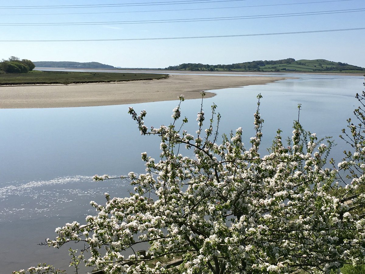LDBikes's tweet photo. Some beautiful sunny views over Morecambe Bay on a recent bike ride through Greenodd! #LakeDistrict https://t.co/PUFIfjn3hd