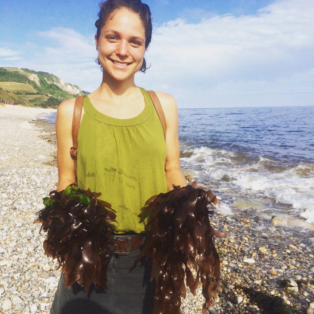 ChrispOnions's tweet photo. Collecting dulse for our Seafood Feast @ODK in July. We'll dry it &amp; smoke it &amp; use it as a simple condiment. https://t.co/ikMc07txh4