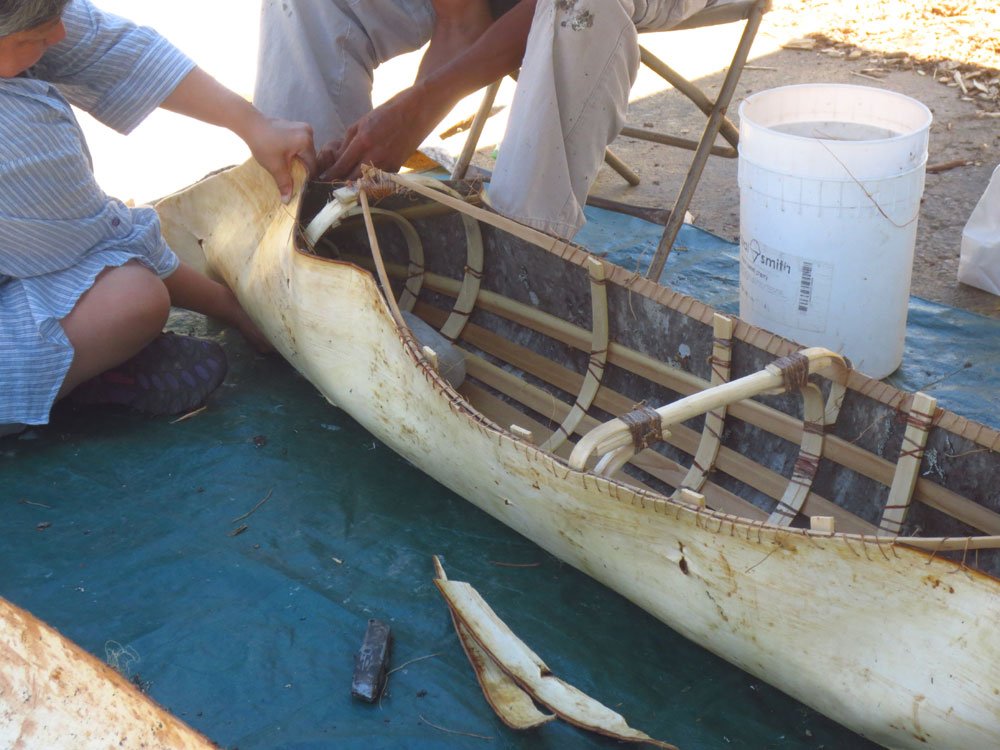 Tina Winterlik tweet media