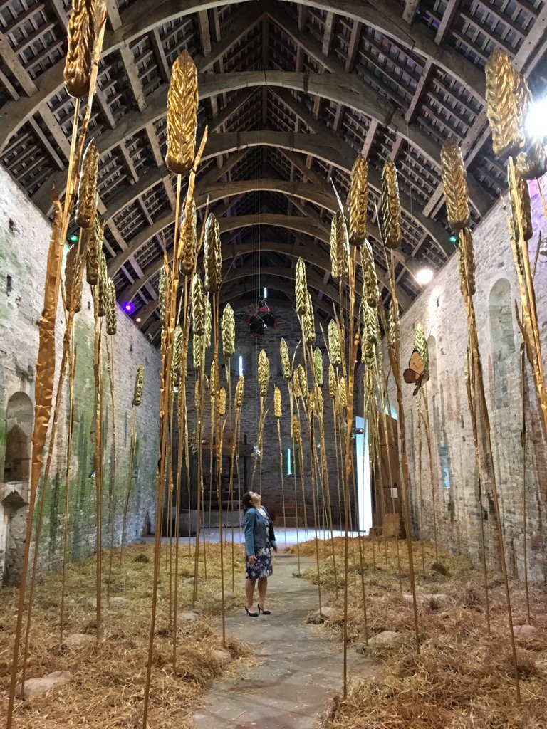 Jill Griffin tweet media