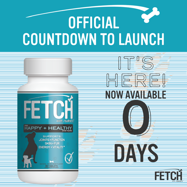 gofetchfordogs's tweet photo. Don't beg - FETCH is here! Celebrate our paw-some launch with 20% off (now - June 30). https://t.co/ppVF7kXlxj #gofetchfordogs Pls RT! https://t.co/cDeSi6548B